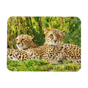 Cheetah Companions – Resting in the Wild Magnet
