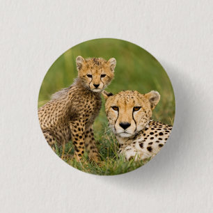 Cheetah Cub and Parent in Grass 3 Cm Round Badge
