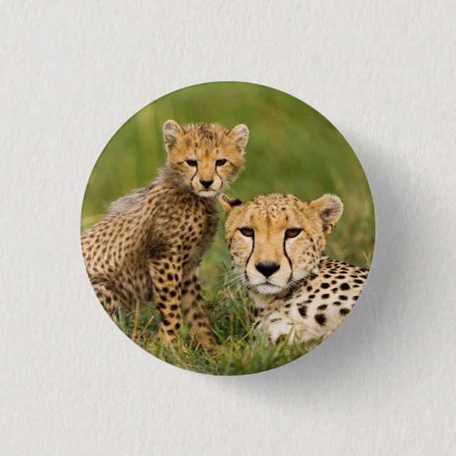 Cheetah Cub and Parent in Grass 3 Cm Round Badge (Front)