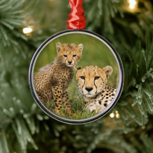 Cheetah Cub and Parent in Grass Metal Ornament