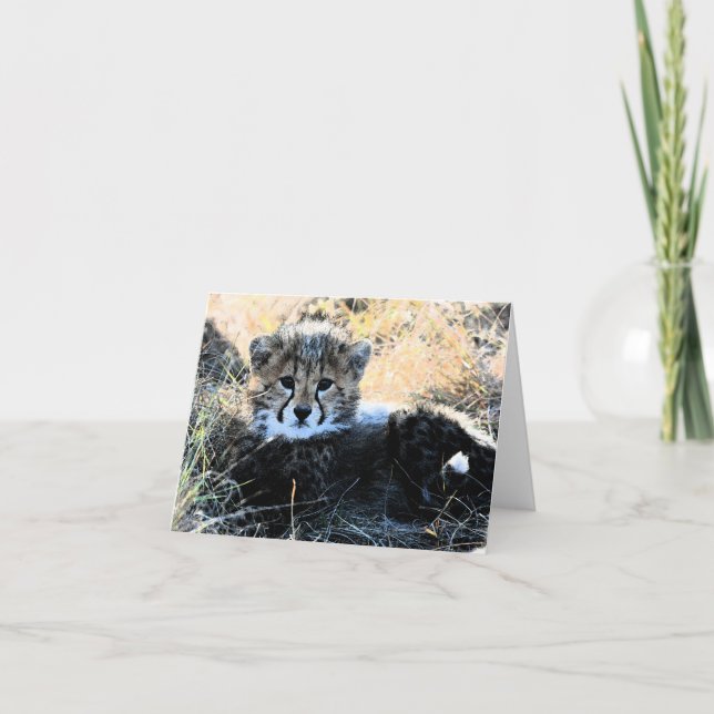 Cheetah cub customisable note card (Front)