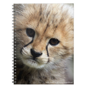 Cheetah cub notebook