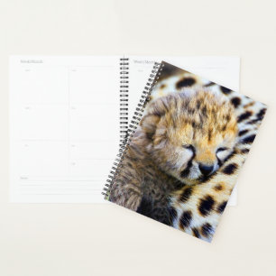 Cheetah Cub Planner
