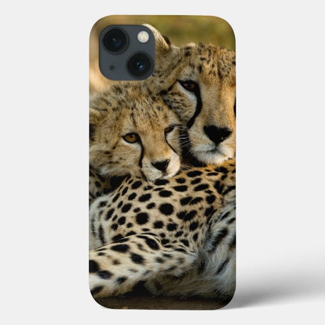 Cheetah Cub Snuggling with its Mom Case-Mate iPhone Case (Back)