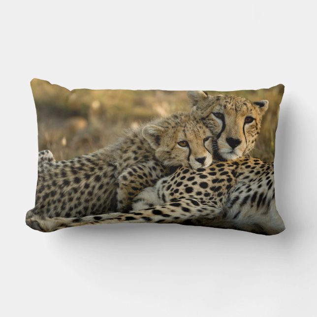 Cheetah Cub Snuggling with its Mum Lumbar Cushion (Front)