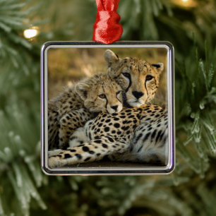 Cheetah Cub Snuggling with its Mum Metal Ornament