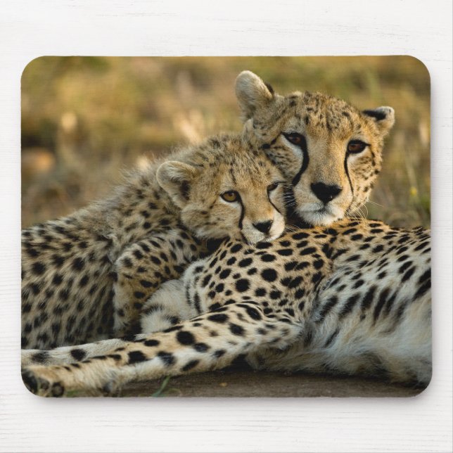 Cheetah Cub Snuggling with its Mum Mouse Pad (Front)