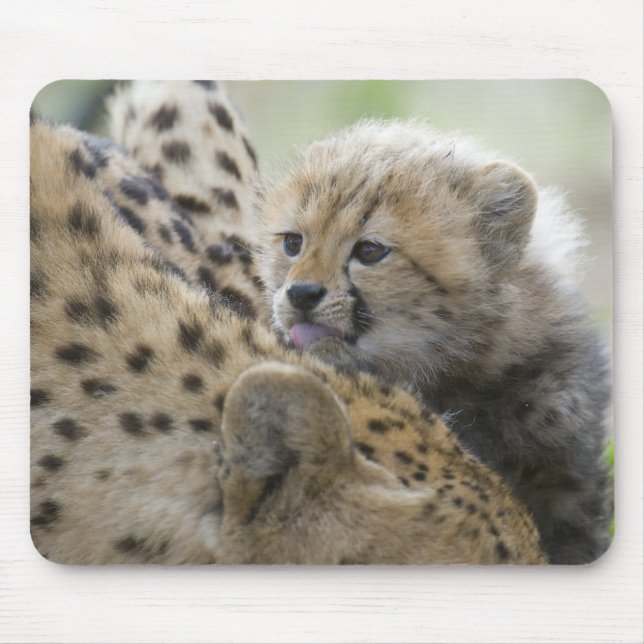 Cheetah Cub with Mum Mouse Pad (Front)