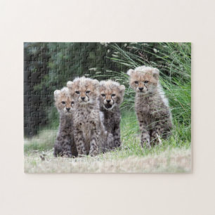 Cheetah cubs jigsaw puzzle