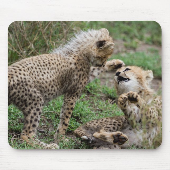 Cheetah Cubs Playing Mouse Pad (Front)