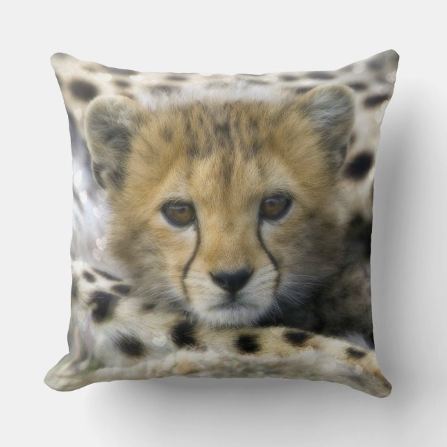 Cheetah Cushion (Front)