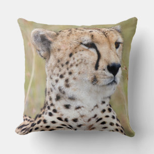 Cheetah Cushion