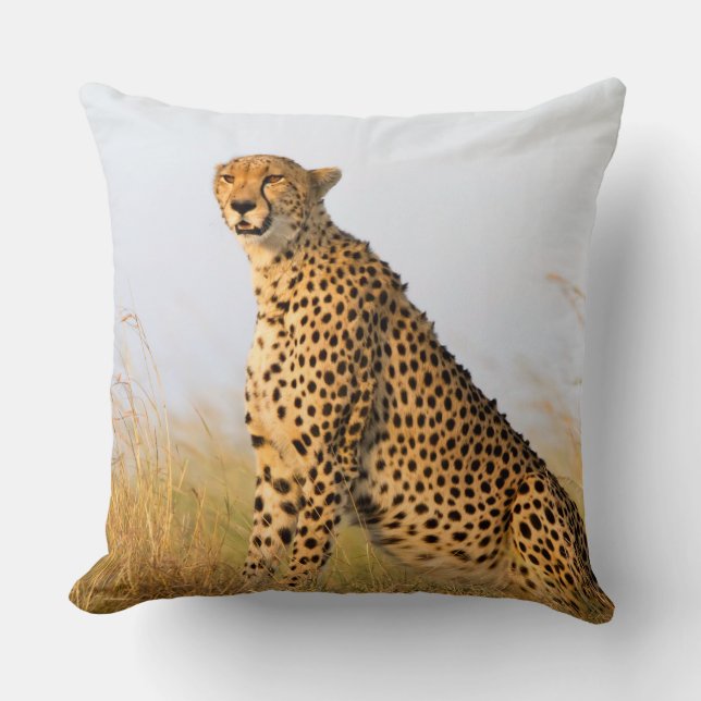 Cheetah Cushion (Front)