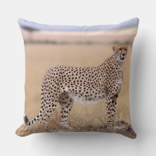 Cheetah Cushion