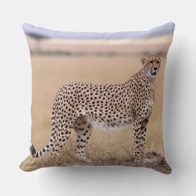 Cheetah Cushion (Front)
