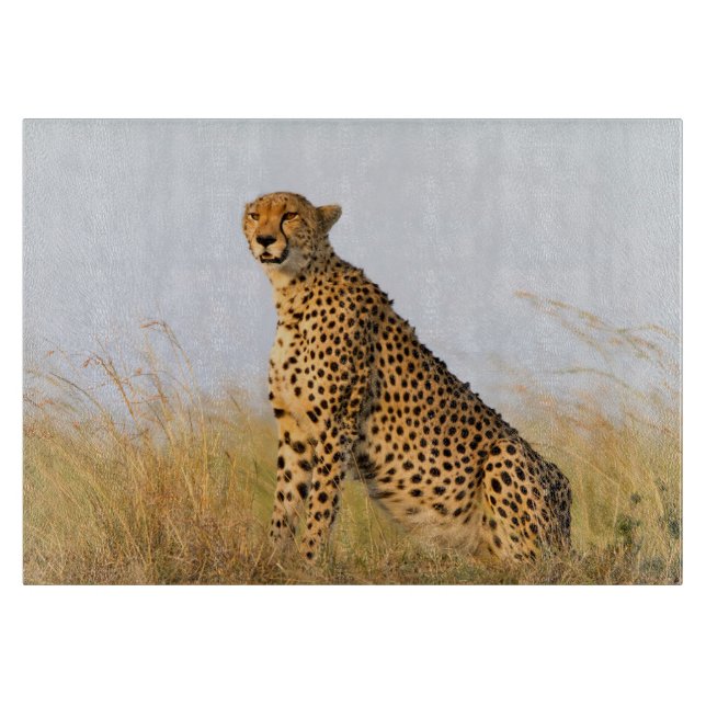 Cheetah Cutting Board (Front)