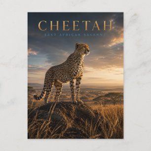 Cheetah East African Savanna ANIMALS Postcard