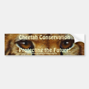 CHEETAH EYES Wildlife Conservation BUMPER STICKER