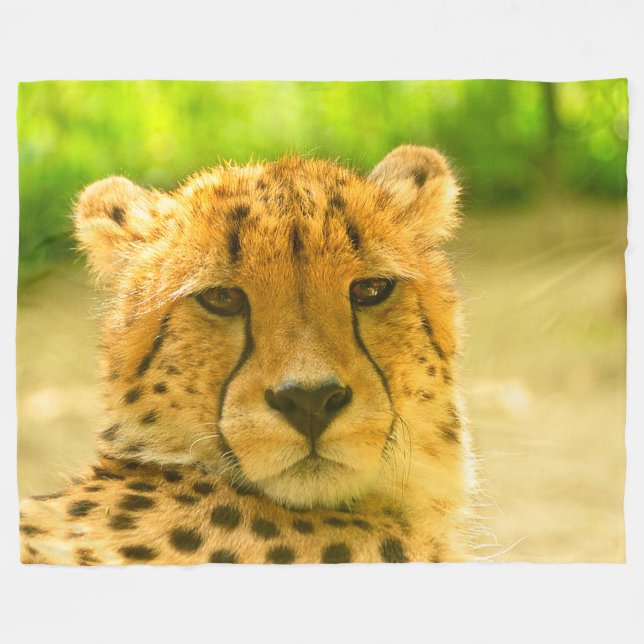 Cheetah Face Fleece Blanket (Front (Horizontal))