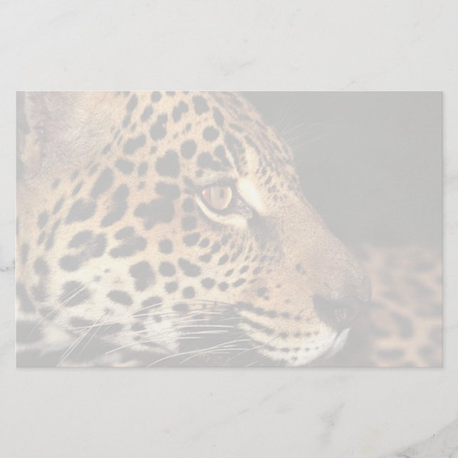 Cheetah Face Stationery (Front)