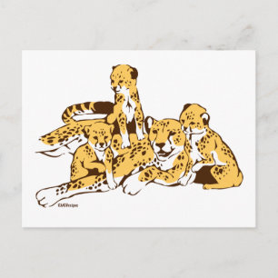 Cheetah Family Postcard