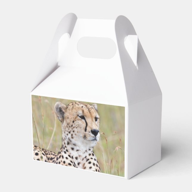Cheetah Favour Box (Back Side)