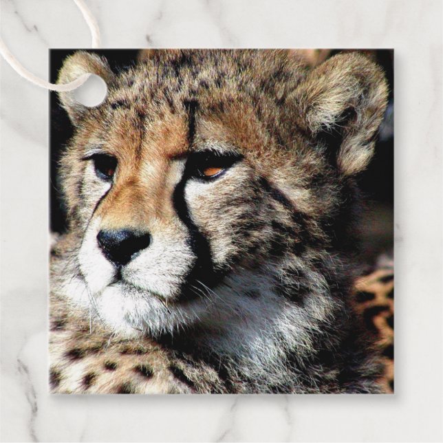 Cheetah Favour Tags (Front)