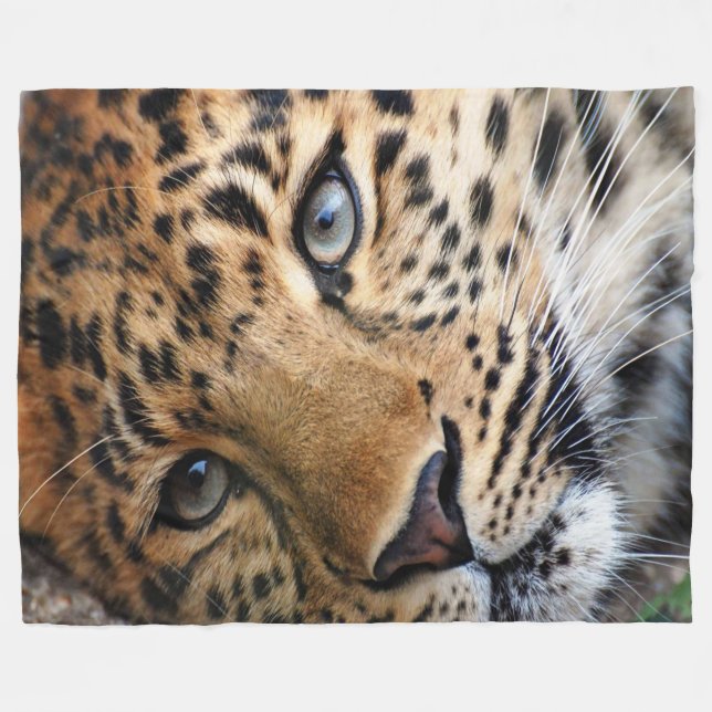 Cheetah Fleece Blanket (Front (Horizontal))