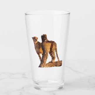 Cheetah Glass