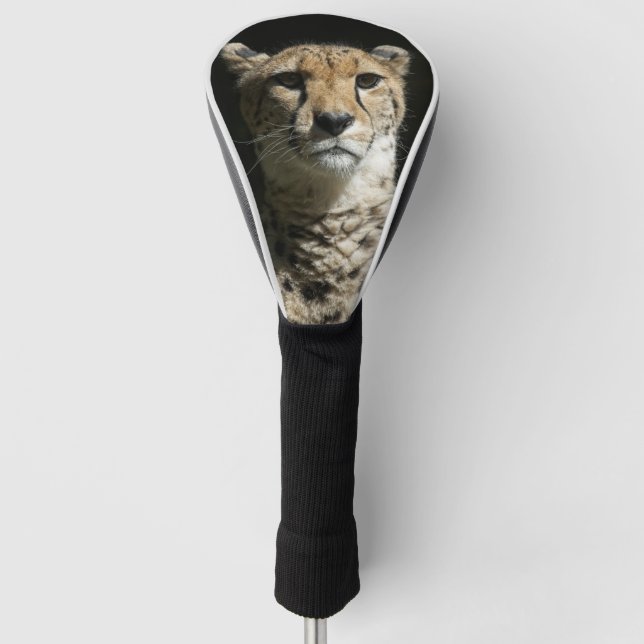 Cheetah Golf Head Cover (Front)