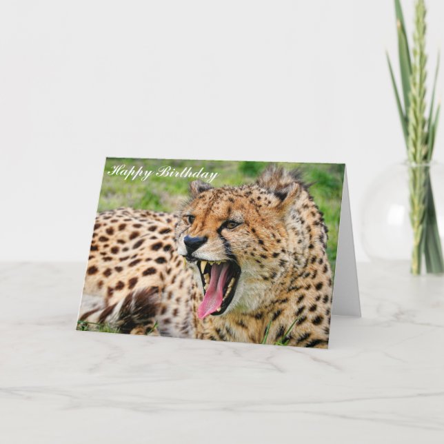 Cheetah - Happy Birthday Greeting Card (Front)