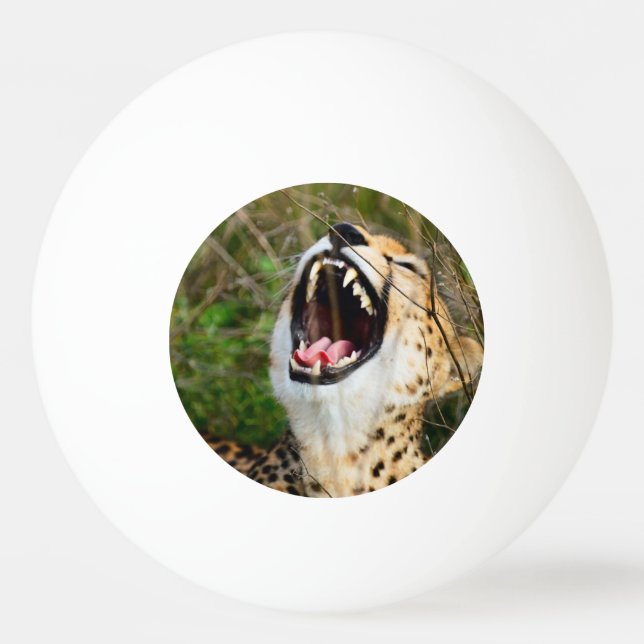 Cheetah head and teeth. Angry cheetah. Africa Ping Pong Ball (Back)