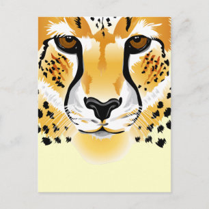 cheetah head close-up illustration postcard
