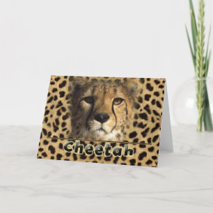 CHEETAH HEAD HOLIDAY CARD