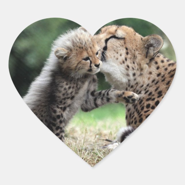 Cheetah Heart Sticker (Front)