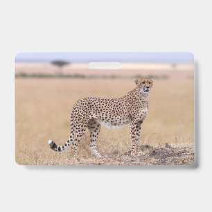 Cheetah ID Badge