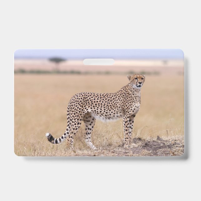 Cheetah ID Badge (Front)