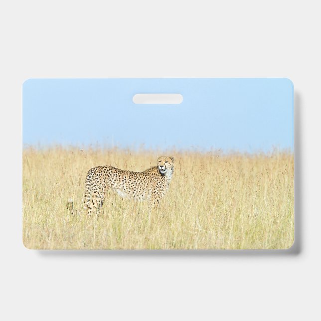 Cheetah ID Badge (Front)