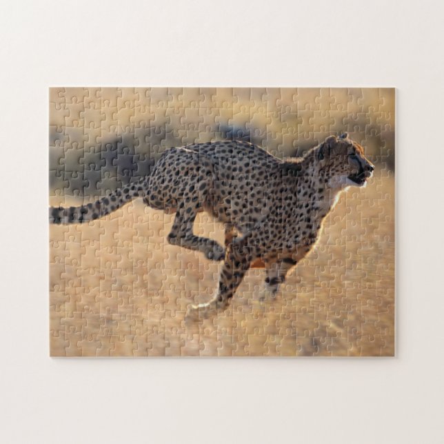 Cheetah in action, Jigsaw Puzzle (Horizontal)
