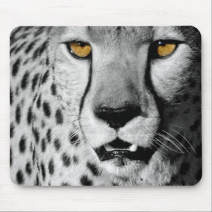 Cheetah in black and white mouse pad