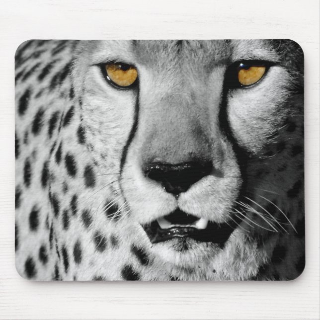 Cheetah in black and white mouse pad (Front)