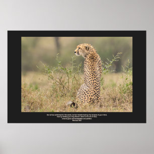 Cheetah In Quiet Contemplation Personalise Text Poster