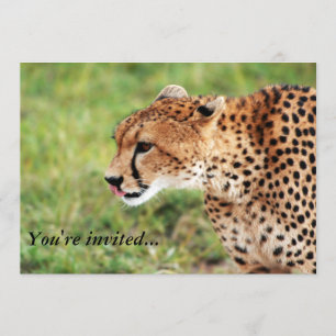 Cheetah Invitation Card