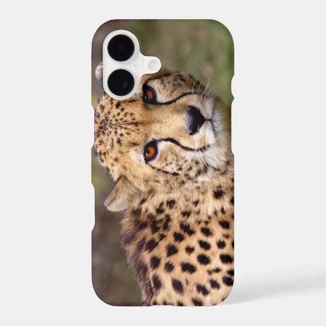 Cheetah iPhone 11 Case (Back)