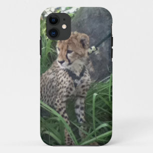 Cheetah iPhone case