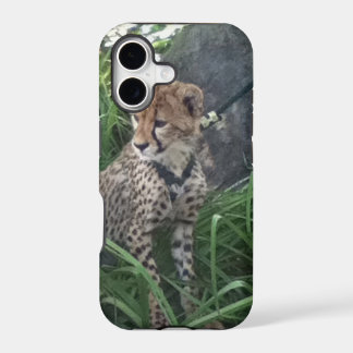 Cheetah iPhone case