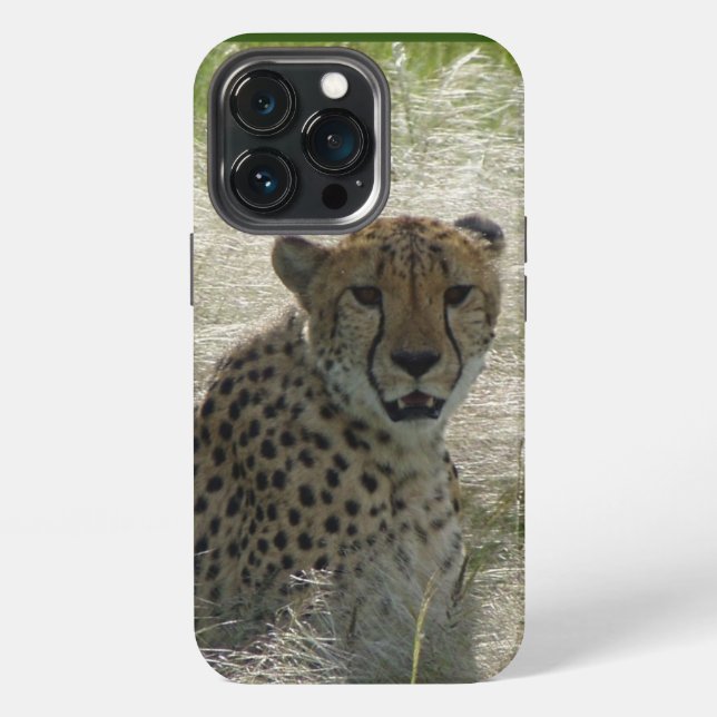 Cheetah iPhone / iPad case (Back)