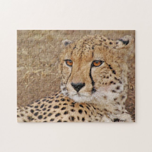 Cheetah  jigsaw puzzle (Horizontal)
