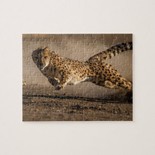 Cheetah Jigsaw Puzzle