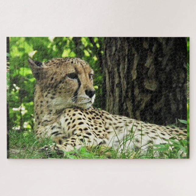 Cheetah Jigsaw Puzzle (Horizontal)
